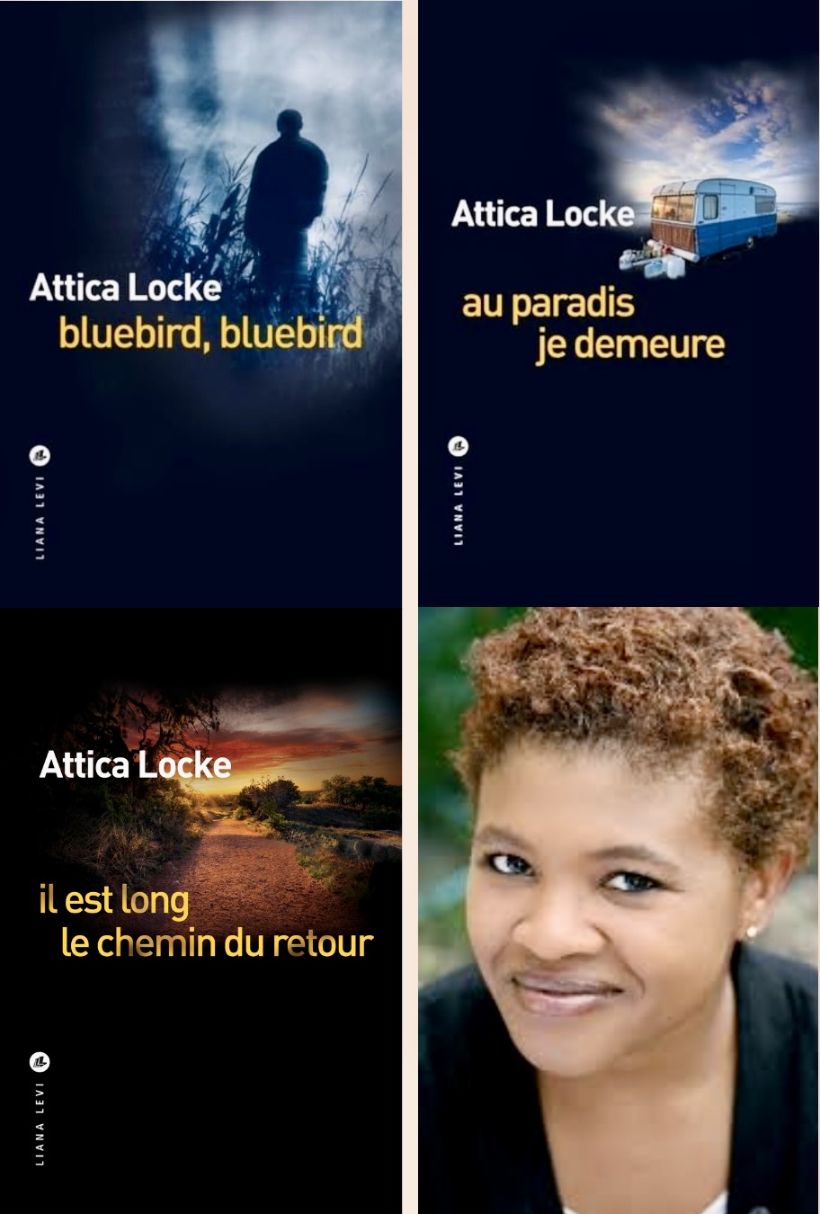 Trilogie Darren Mathews d&rsquo;Attica&nbsp;Locke